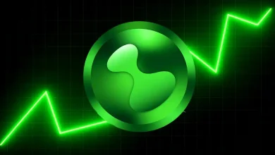 Hyperliquid (HYPE) 的未来走势：新高还是逆转？