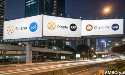 阿卡姆警告：大多数山寨币暴跌60%，ETF 热潮是否能带来积极影响？